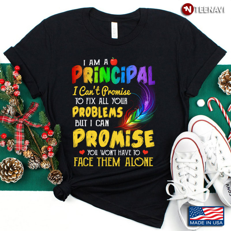I Am A Principal I Can't Promise To Fix All Your Problems