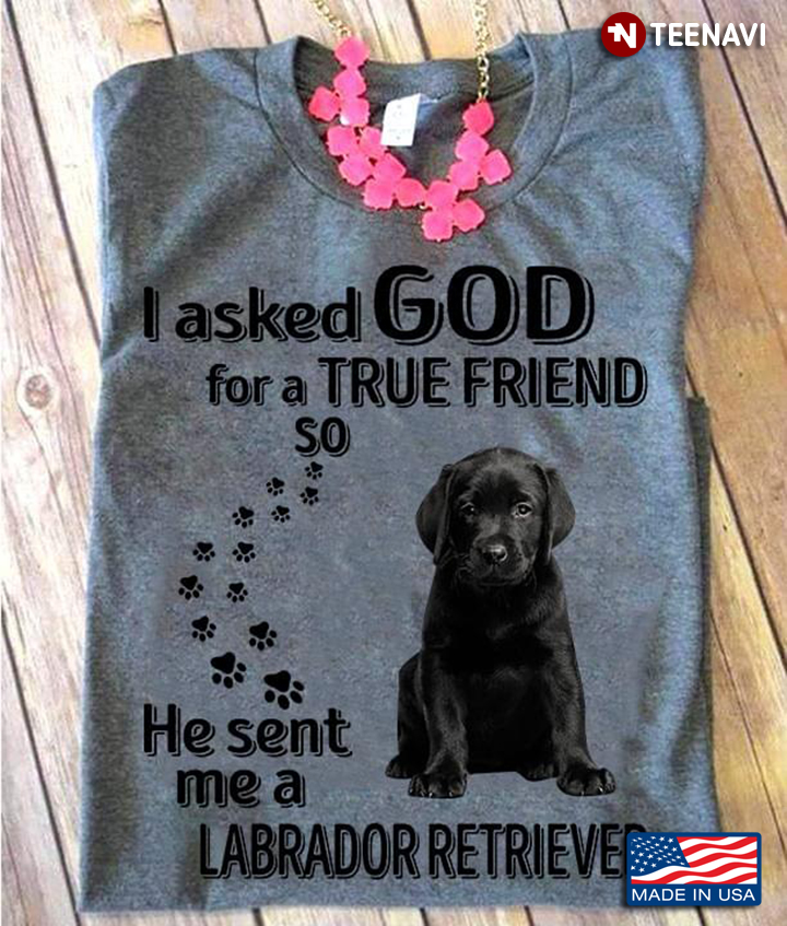 I Asked God For A True Friend So He Sent Me A Labrador Retriever for Dog Lover