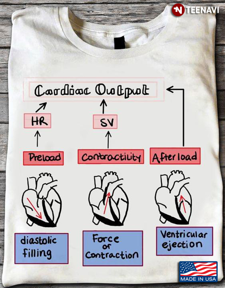 Cardiac Output Human’s Heart