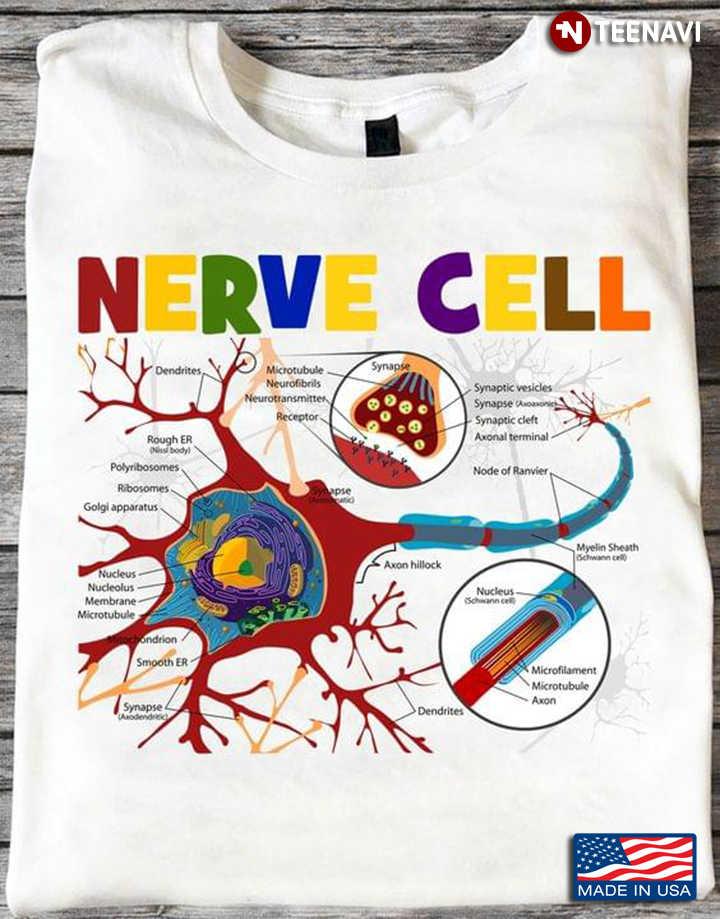 Brain Nerve Cell Neuron Neurology Neuroscience Gift