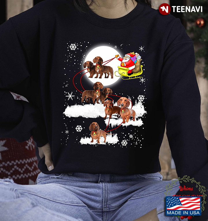 Reindeer Dachshund Santa Christmas Pet Weiner Dog Xmas Gift