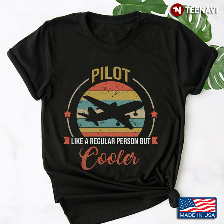 Pilot Like A Regular Person But Cooler Aviation