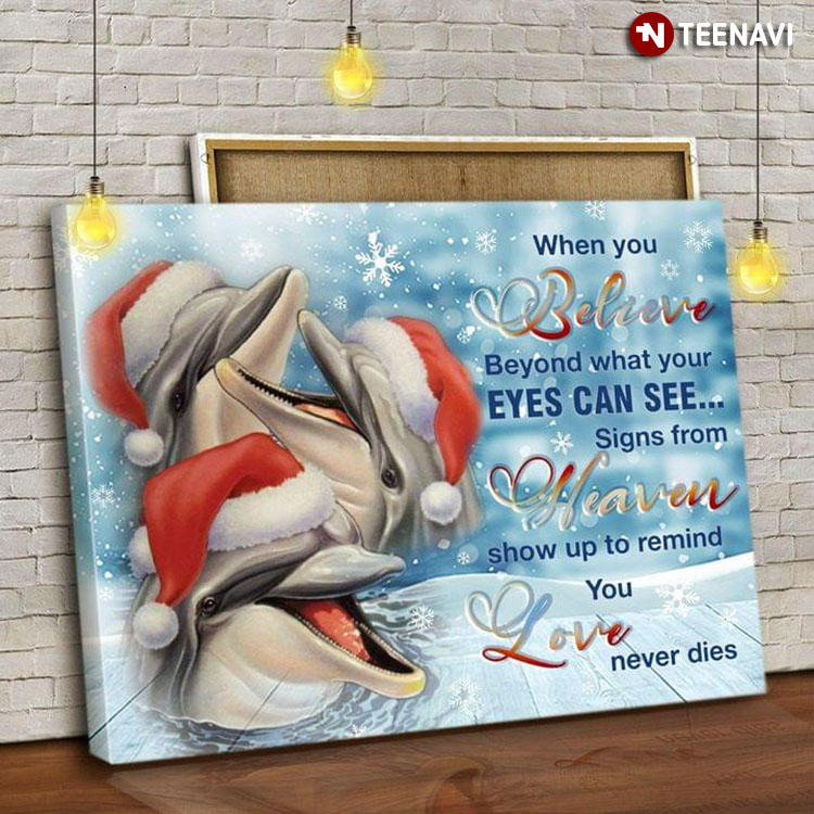 Christmas Cute Dolphins With Santa Hats When You Believe Beyond What Your Eyes Can See