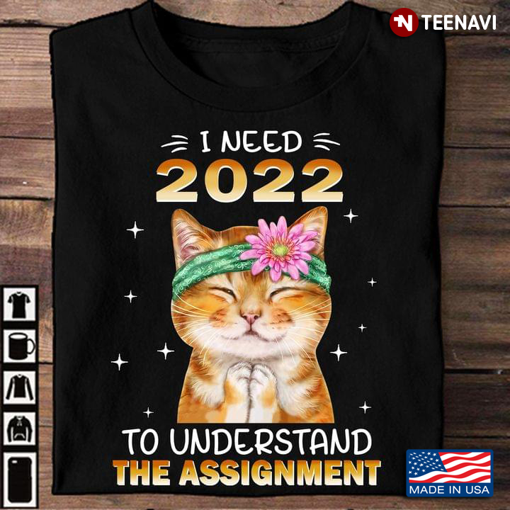 Cat I Need 2022 To Understand The Assignment for Cat Lover