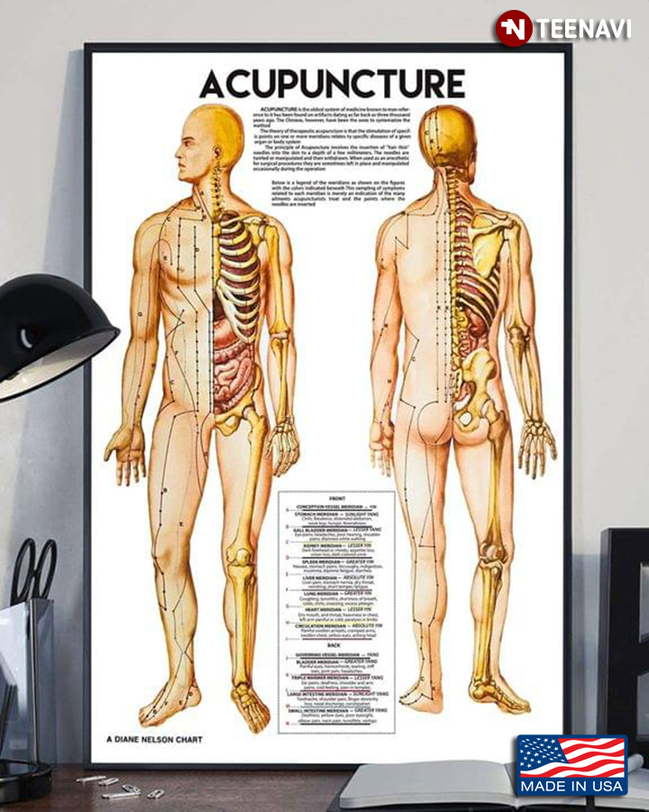 Human Body Acupuncture