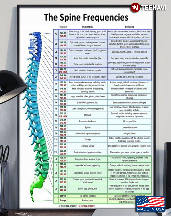 The Spine Frequencies