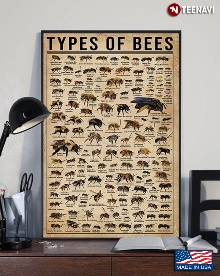 Vintage Types Of Bees