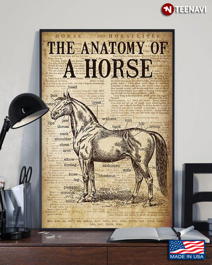 The Anatomy Of A Horse