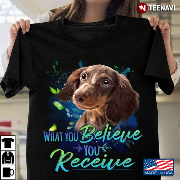 Dachshund What You Believe You Receive for Dog Lover