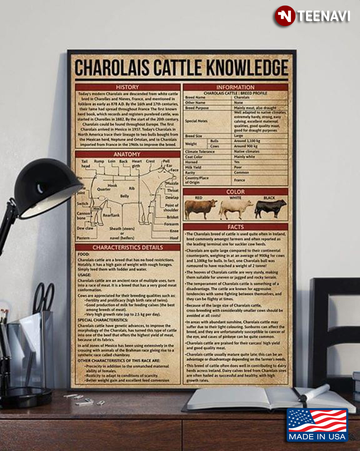 Vintage Charolais Cattle Knowledge
