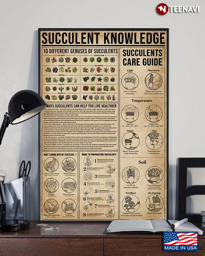 Vintage Succulent Knowledge
