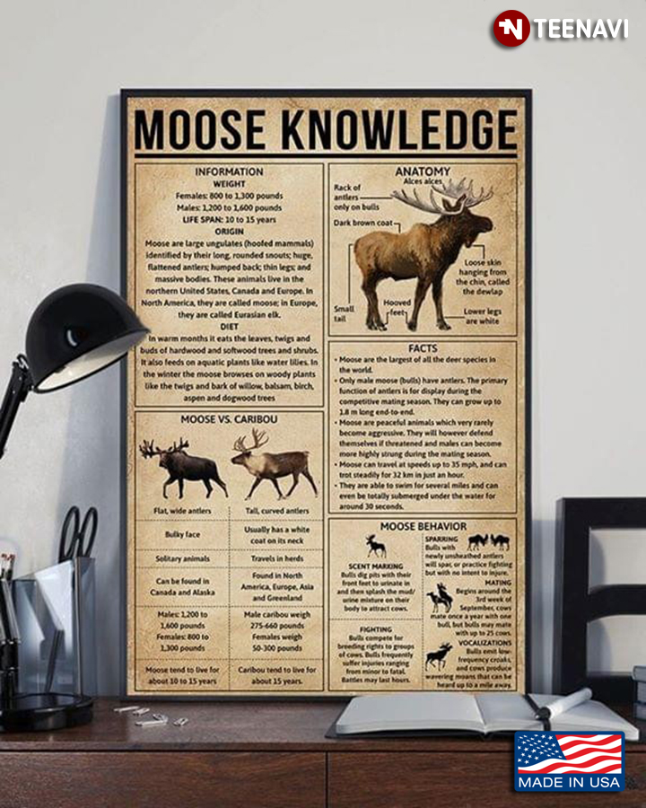 Vintage Moose Knowledge