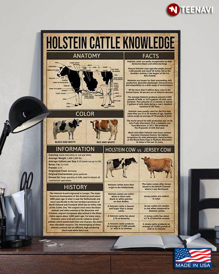 Vintage Holstein Cattle Knowledge