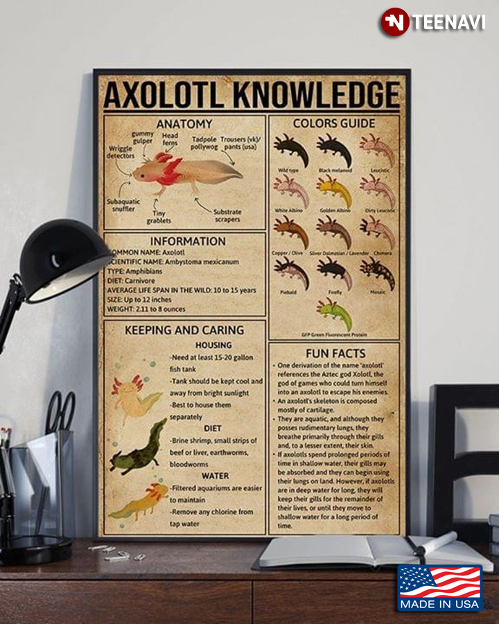 Vintage Axolotl Knowledge