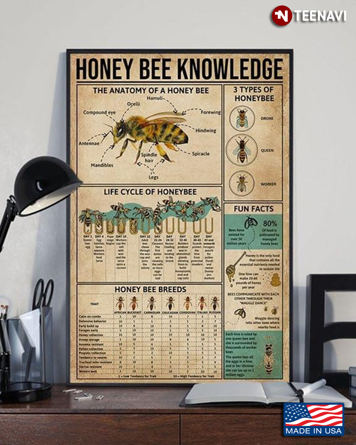 Vintage Honey Bee Knowledge