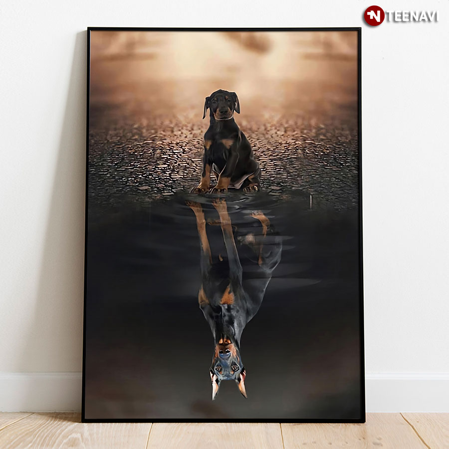 Doberman Pinscher Dog Water Reflection Poster