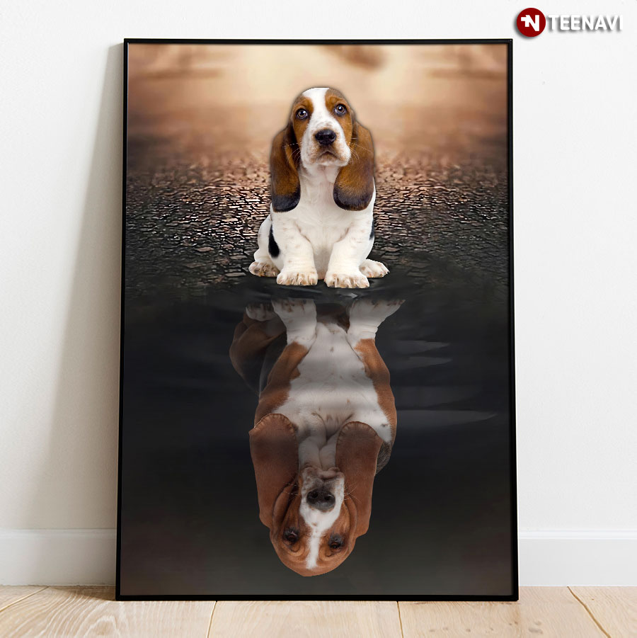 Basset Hound Dog Water Reflection Poster