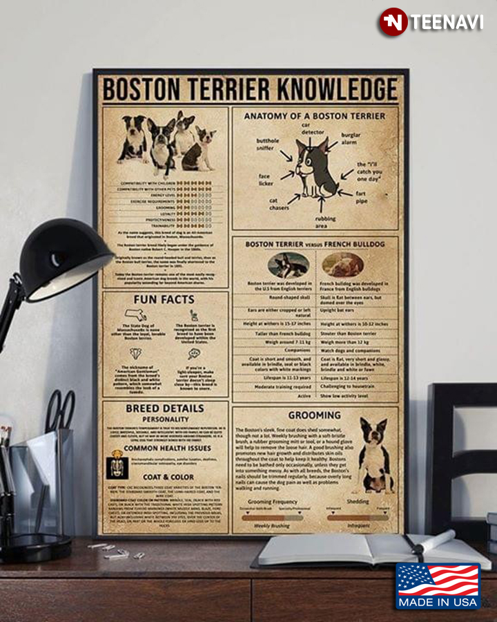 Vintage Boston Terrier Knowledge