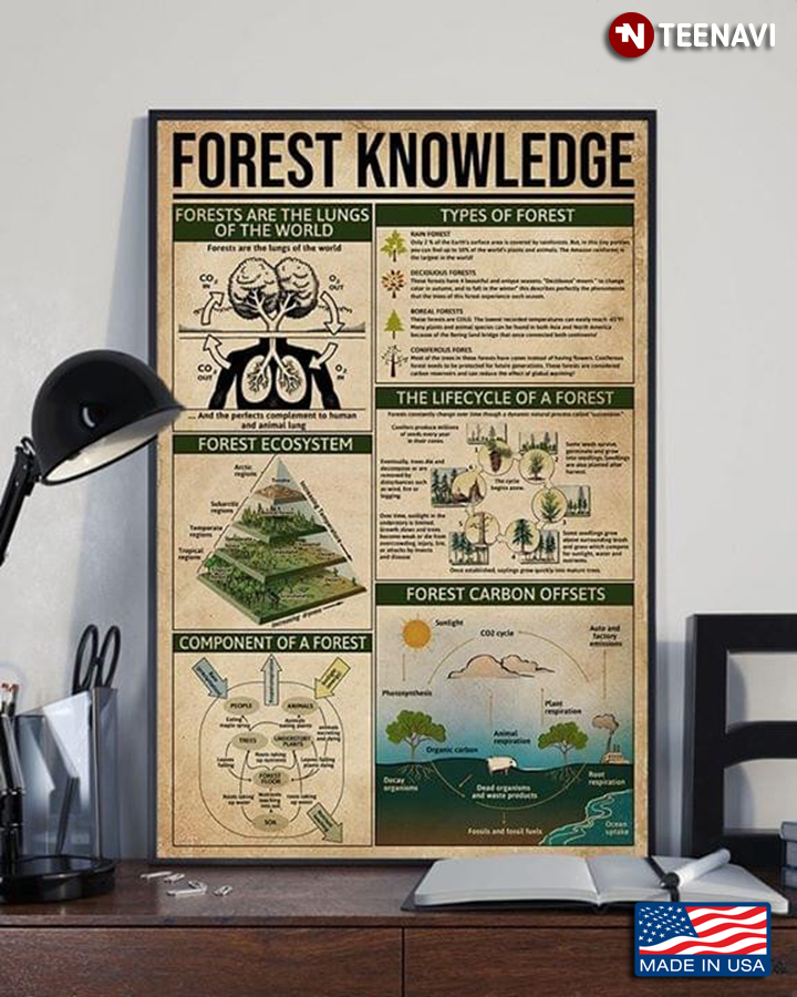 Vintage Forest Knowledge