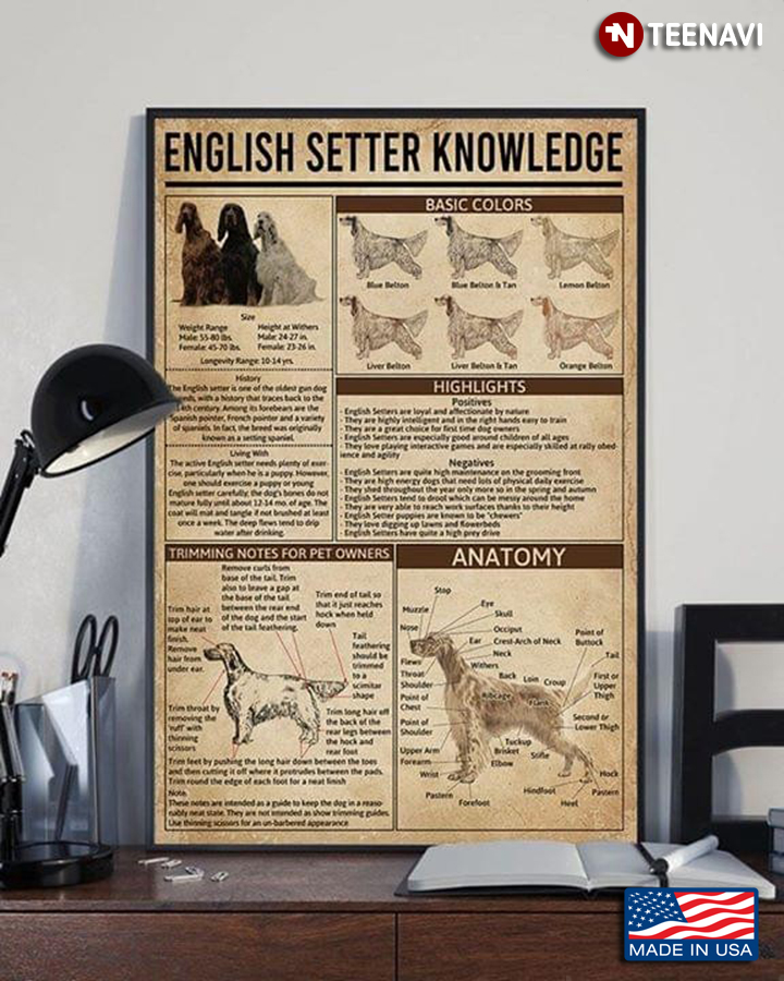Vintage English Setter Knowledge