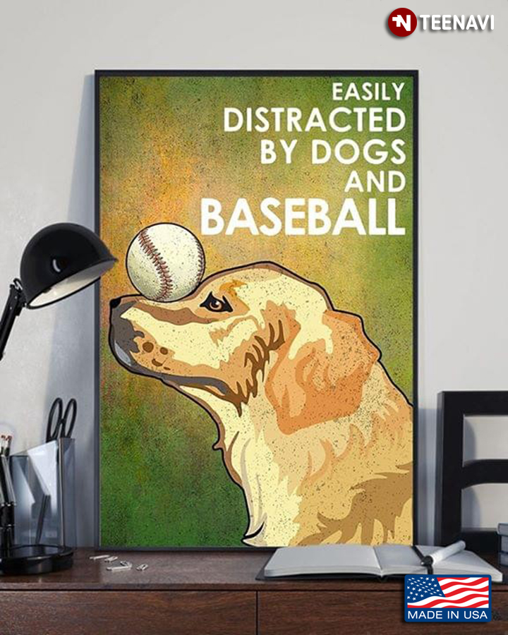 Golden Retriever & Baseball Ball On His Nose Easily Distracted By Dogs And Baseball