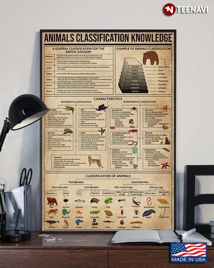 Vintage Animals Classification Knowledge