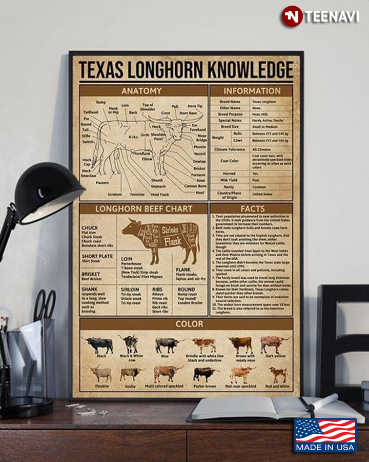 Vintage Texas Longhorn Knowledge