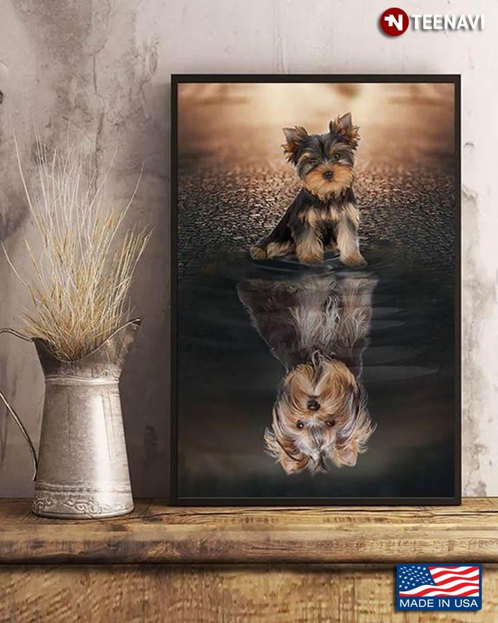 Yorkshire Terrier Water Reflection