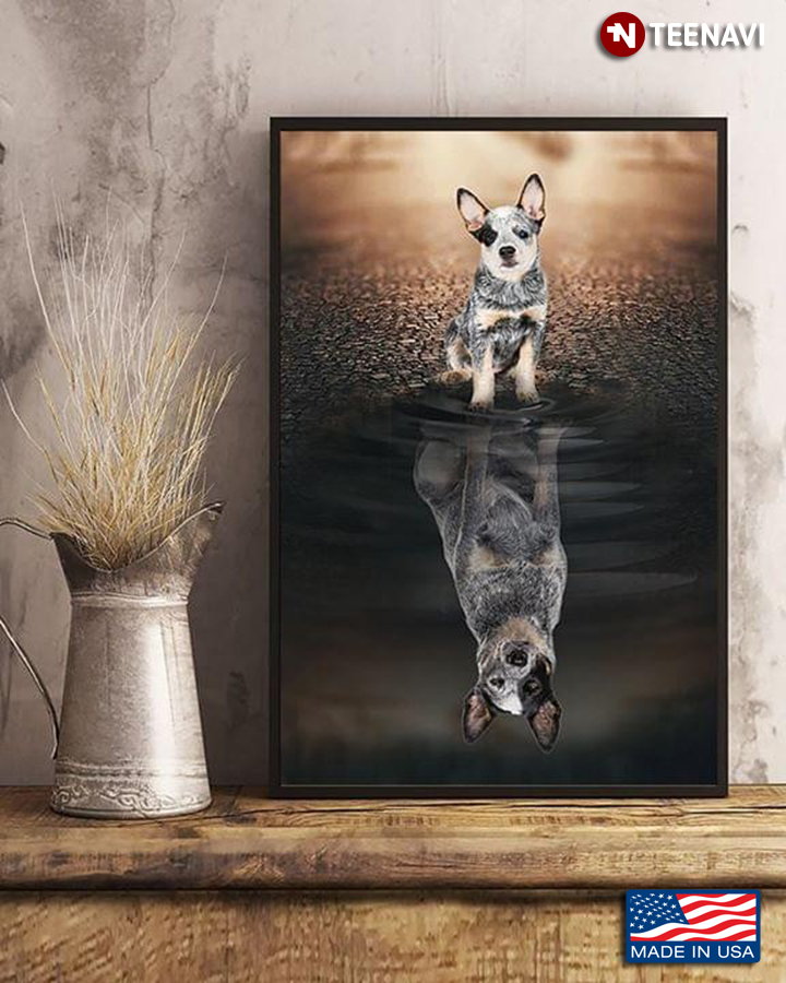 Heeler Dog Water Reflection for Dog Lovers
