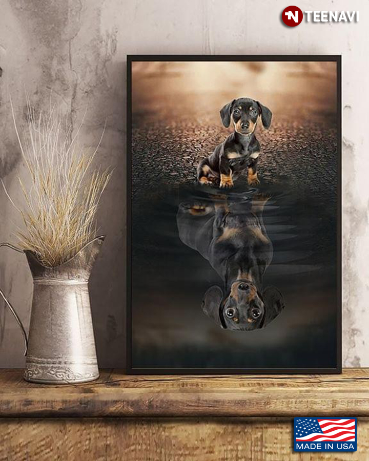 Dachshund Dog Water Reflection for Dog Lovers