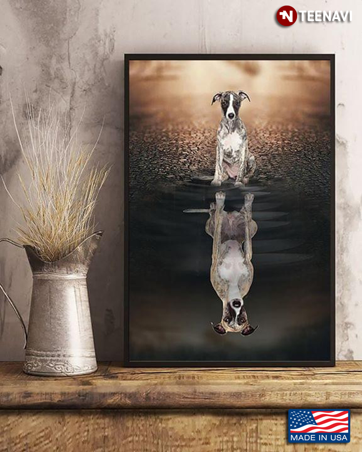 Whippet Dog Water Reflection for Dog Lovers