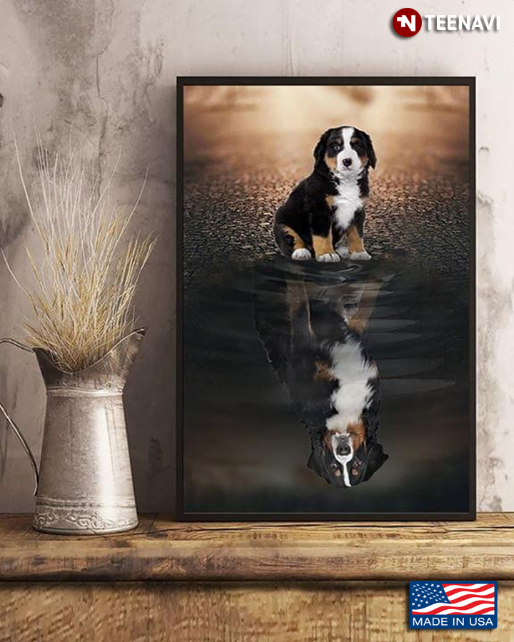 Bernese Mountain Dog Water Reflection for Dog Lovers