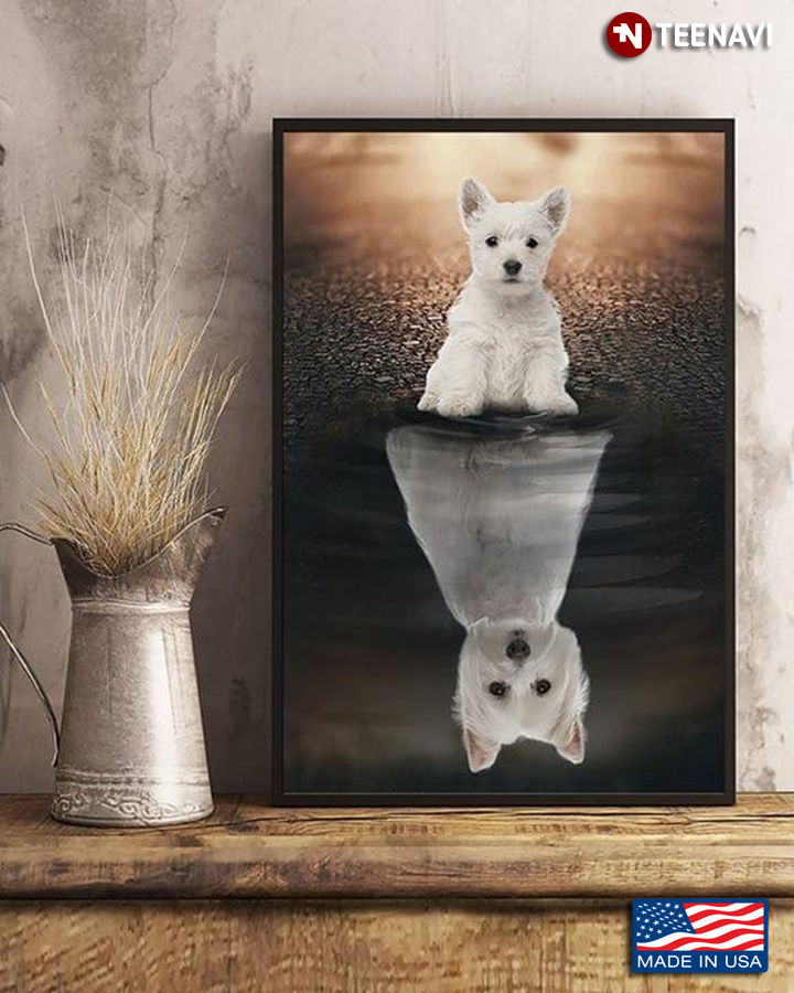 West Highland White Terrier Dog Water Reflection