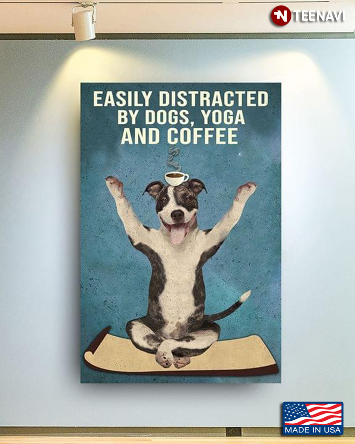 Funny Pitbull Easily Distracted By Dogs, Yoga And Coffee