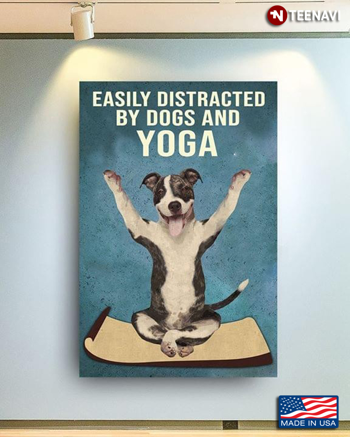 Funny Pitbull Easily Distracted By Dogs And Yoga