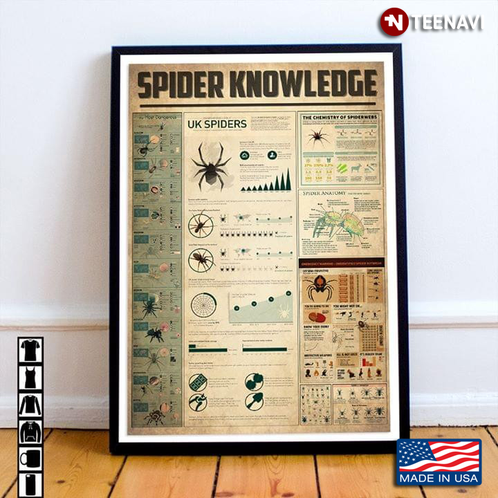Spider Knowledge For Spider Lovers