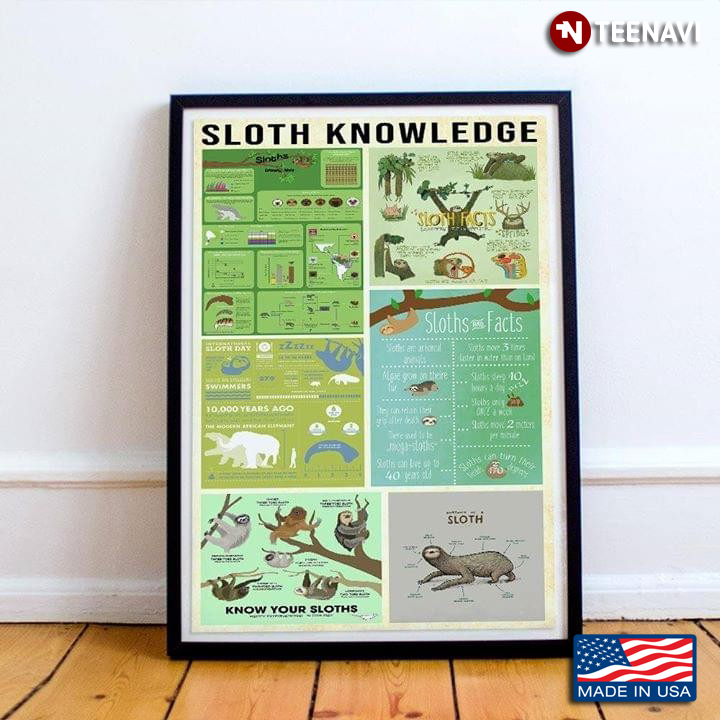 Sloth Knowledge for Sloth Lovers