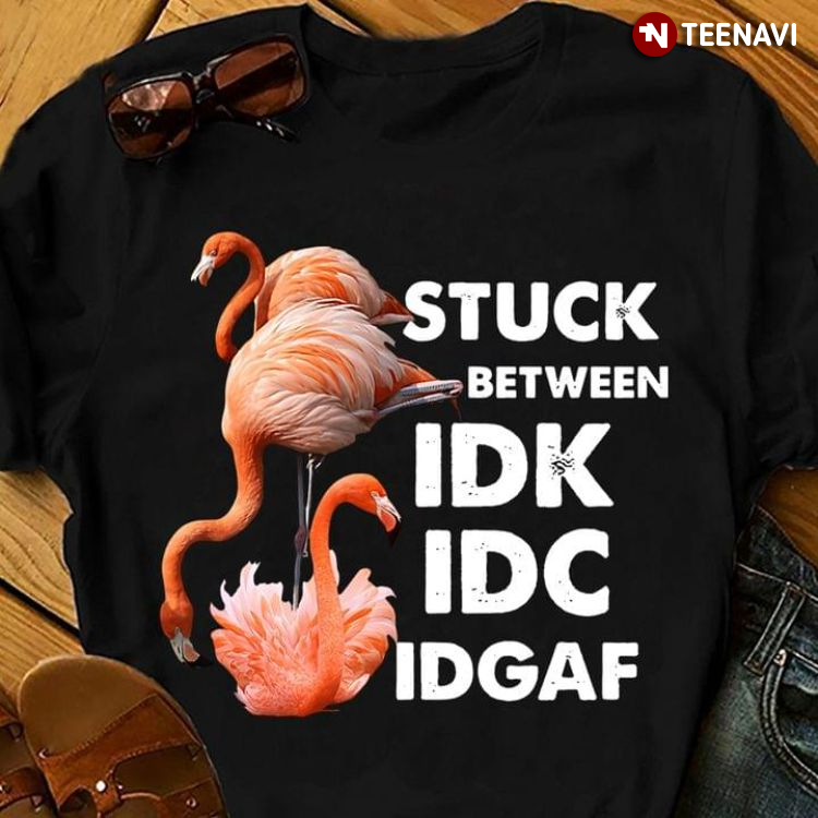 Flamingos Stuck Between IDK IDC IDGAF