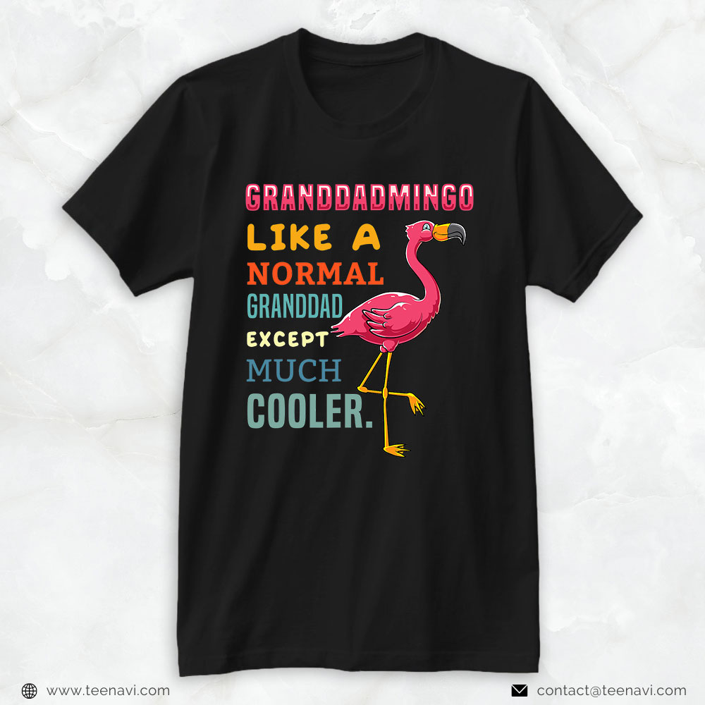 Pink Flamingo Shirt, Flamingo Bird Retro Theme Funny Definition For Granddad