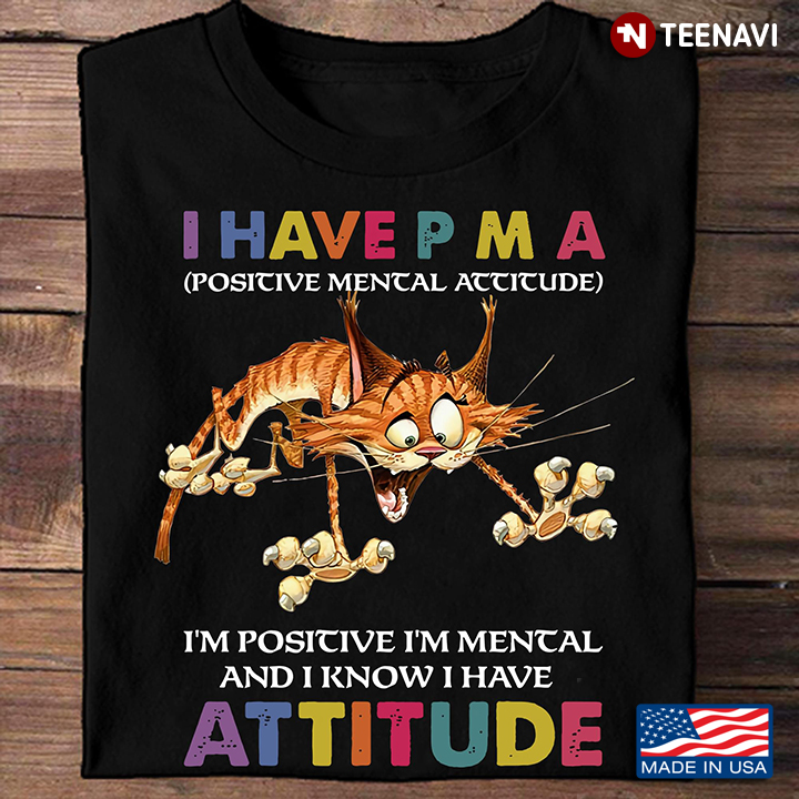 PMA Orange Cat Shirt, I Have Positive Mental Attitude