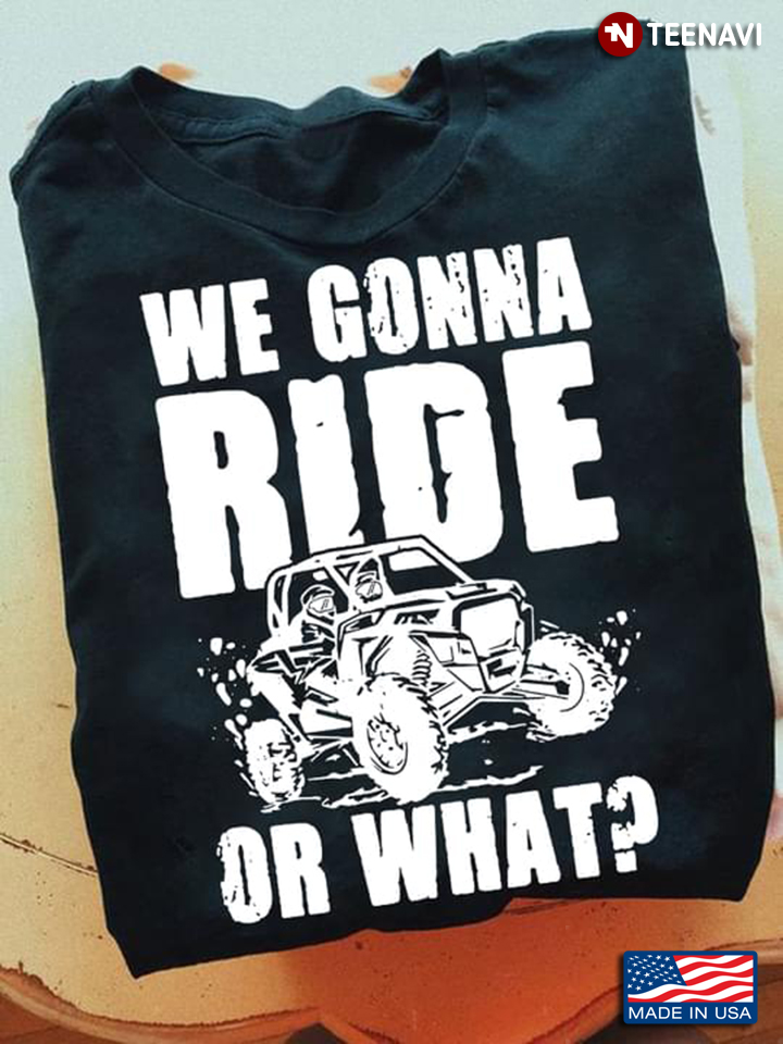 Dirt Racing Car Shirt, We Gonna Ride Or What?