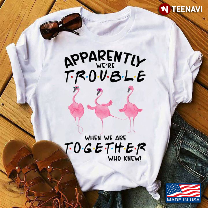 Friends Flamingos Shirt, Apparently We’re Trouble When We Are Together Who Knew