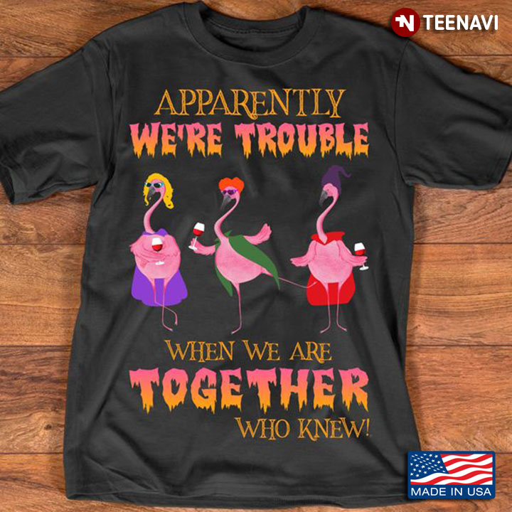 Hocus Pocus Flamingo Shirt, Apparently We're Trouble When We Are Together