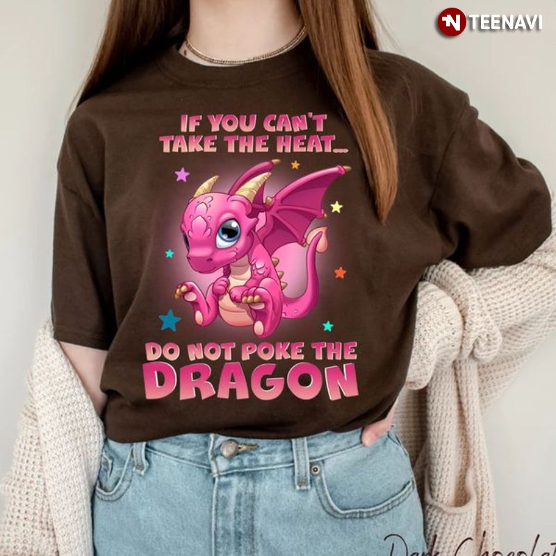 Funny Dragon Shirt, If You Can't Take The Heat Do Not Poke The Dragon