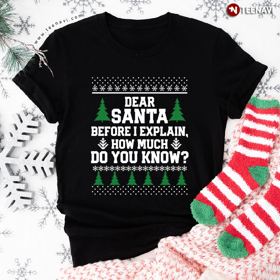 Dear Santa Before I Explain How Much Do You Know Funny Ugly Christmas T-Shirt
