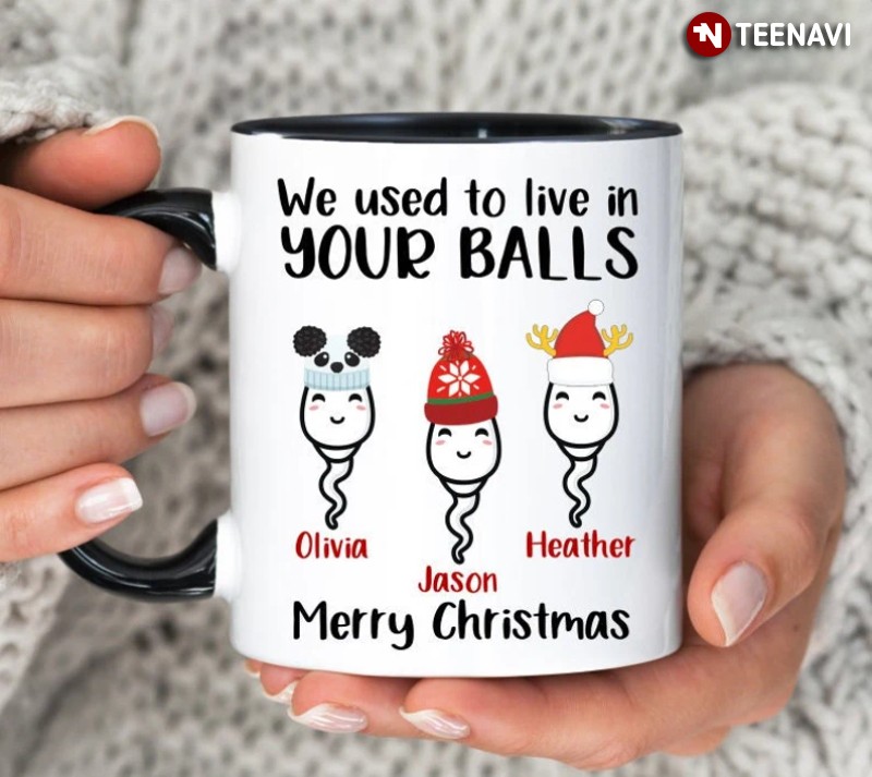 Personalized Christmas We Use To Live In Your Balls Mug