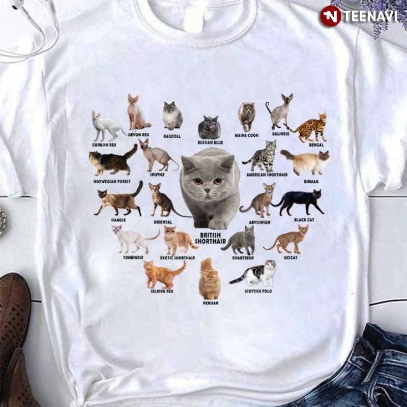 Cat Lover Shirt, Different Types Of Cat