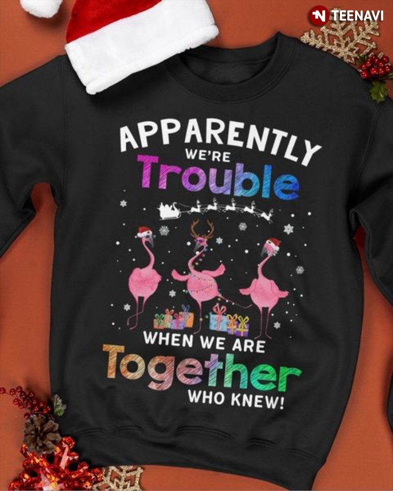 Santa Flamingo Sweatshirt, Apparently We're Trouble When We Are Together
