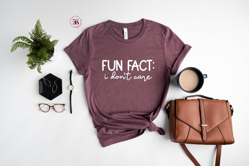 Funny Saying Shirt, Fun Fact I Don't Care