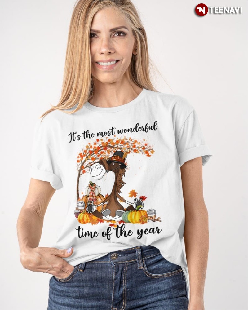 Autumn Horse Pumpkin Shirt, It's The Most Wonderful Time Of The Year